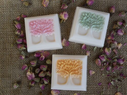 Σαπούνι Tree of life