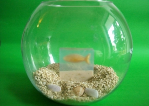 Σαπούνι "Ψάρι"