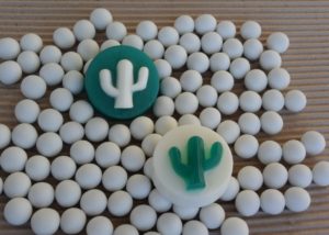 Σαπούνι «Κάκτος»